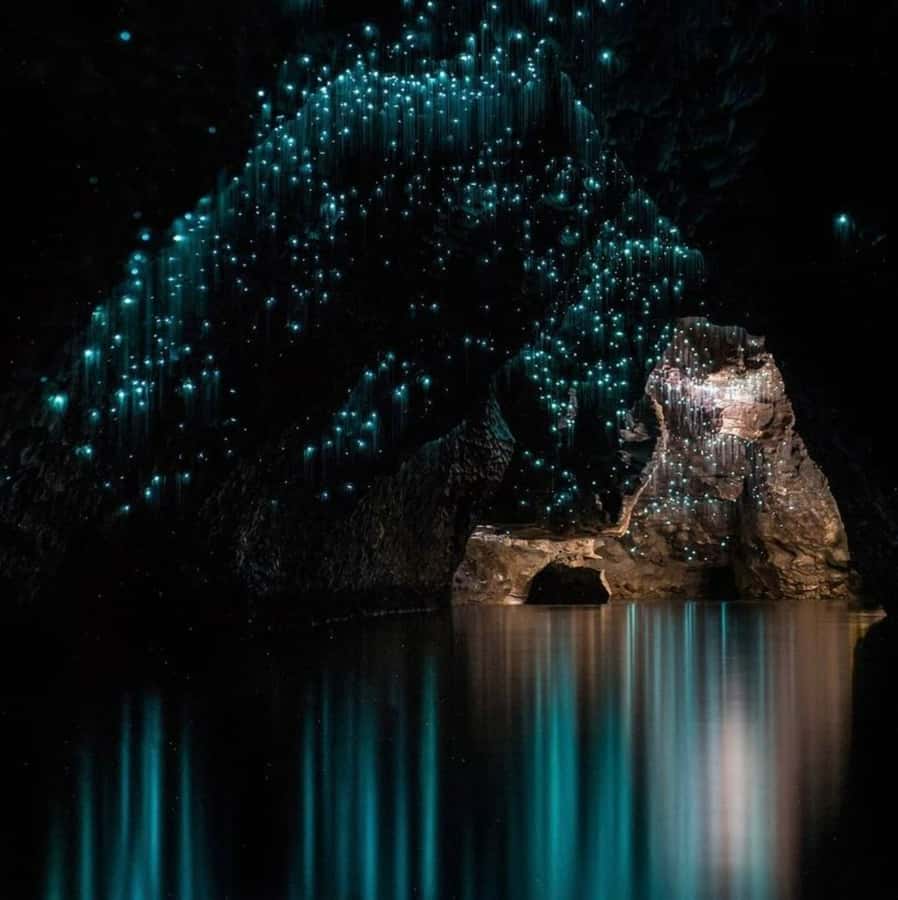 From Auckland: Waitomo Caves and Kiwi House Group Tour - Who this tour is best for (and who should skip it)
