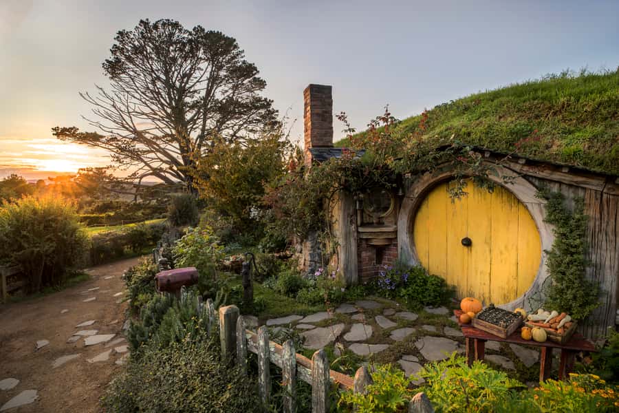 From Auckland: Waitomo & Hobbiton Bus Tour with Lunch - Key Points You’ll Actually Care About