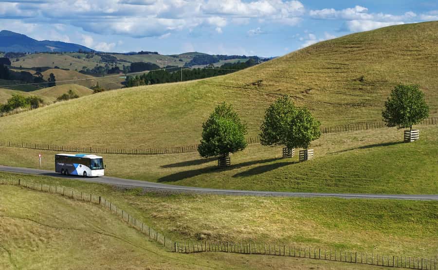 From Auckland: Waitomo & Hobbiton Bus Tour with Lunch - Lunch in the Middle of Middle Earth: Picnic Style, Included, and Simple