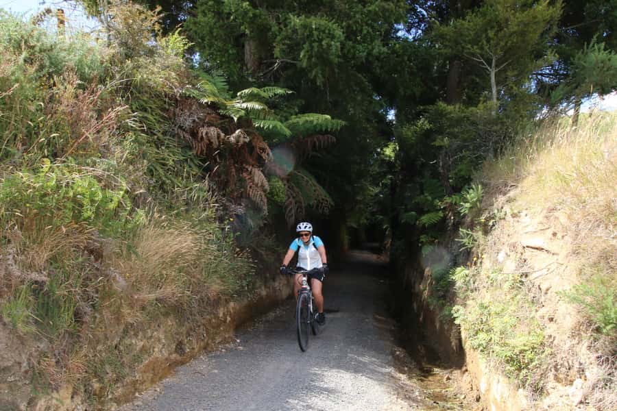 Full Day Ebike Tour - Karangahake Gorge NZ - Key things to know before you ride