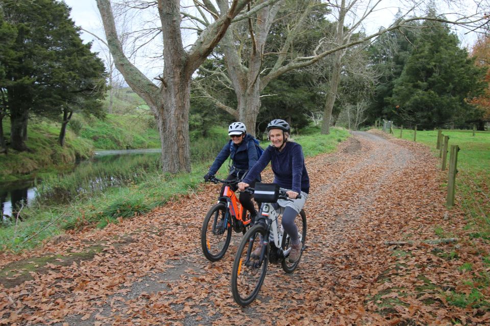 Full Day Ebike Tour - Karangahake Gorge NZ - Paeroa and the railway tunnel: where the day really earns its keep