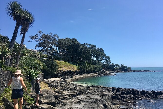 Full-Day Grand Auckland Volcanoes Tour - Why Auckland’s volcanoes make more sense than the usual city tour