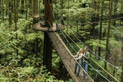 FULL DAY ROTORUA TOUR - Fully Customisable 13 hours Unlimited KMS - Rotorua and Taupō in two days: the mix that keeps it interesting