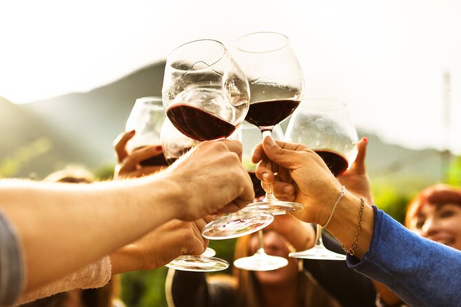 Full-Day Wine Tasting Tour in Auckland with 3-Course Vineyard Lunch - Price and Value: Why $123.49 Works for a 5-Hour Wine Loop