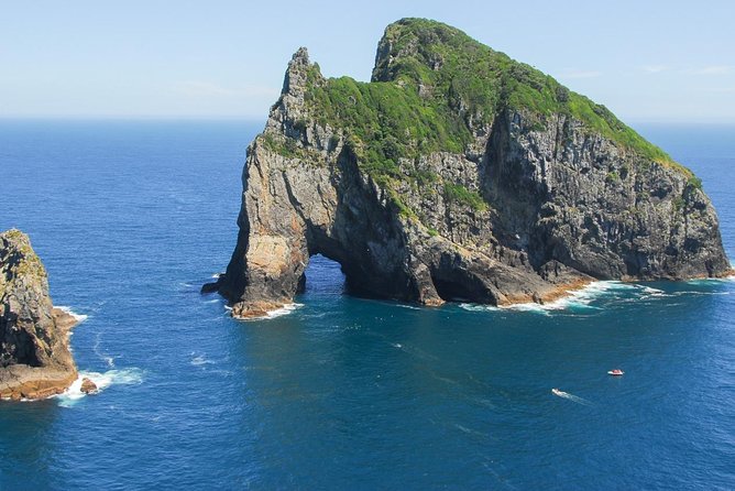 Group tour to Bay of Islands return from Auckland - Auckland to Paihia: the easy way to escape the city
