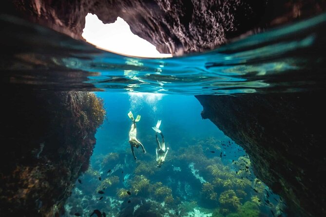 Guided Snorkeling and Island Exploration in Auckland - Key highlights at a glance