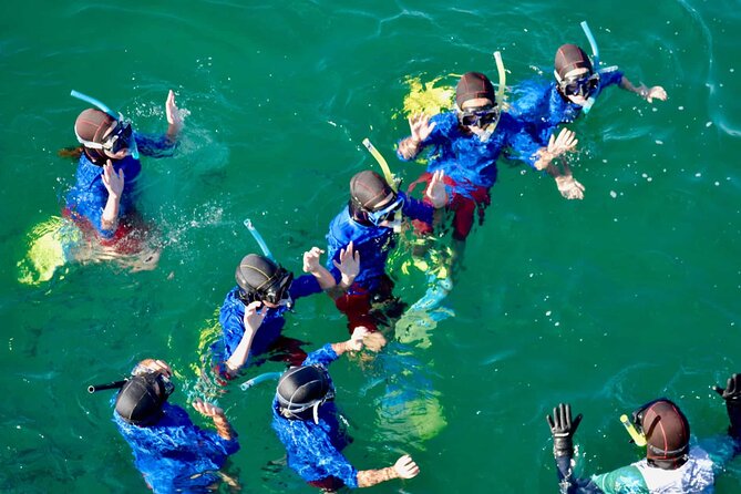 Guided Snorkeling and Island Exploration in Auckland - What to expect on timing and pacing