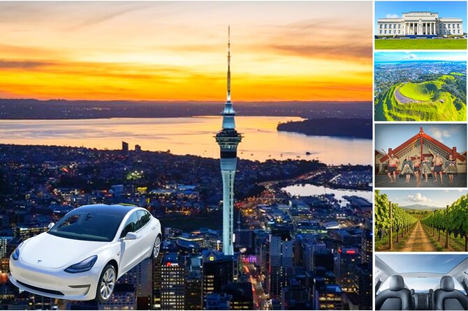 Guided Snorkeling and Island Exploration in Auckland - Gear and comfort tips that will save your day