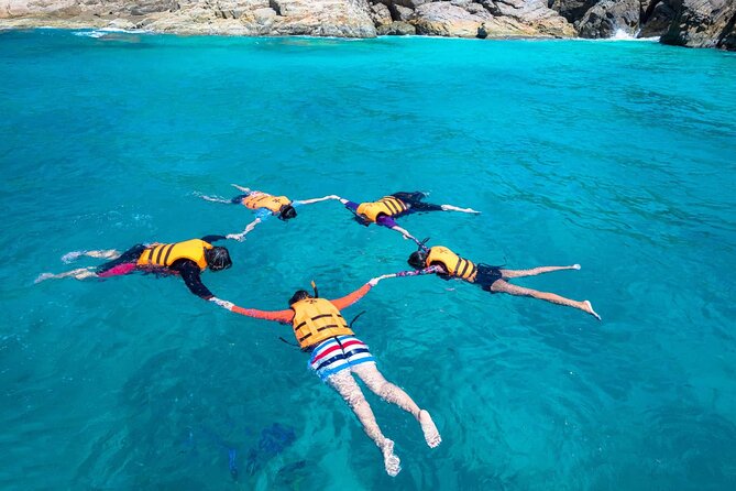Guided Snorkeling and Island Exploration in Auckland - What you get for the $93.09 price