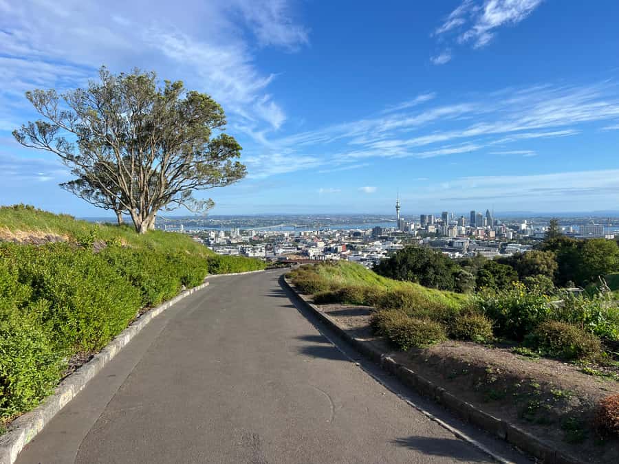 Half-Day Auckland City Highlights Tour with Hotel Pickup - Achilles Point and the Michael Savage Memorial Garden: the Hauraki Gulf views