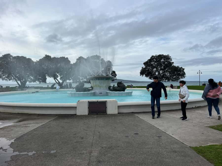 Half-Day Auckland City Highlights Tour with Hotel Pickup - Who should book this Auckland half-day highlights tour
