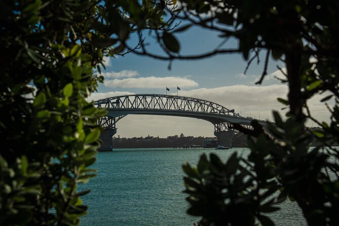 Half-day Discover Auckland City Sightseeing Tour - Key Takeaways