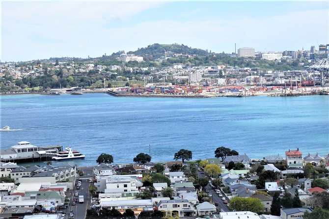 Half-Day: Small Group Auckland Scenic Tour - 4 HOURS - Stop-by-stop: what you’ll see and why each stop matters