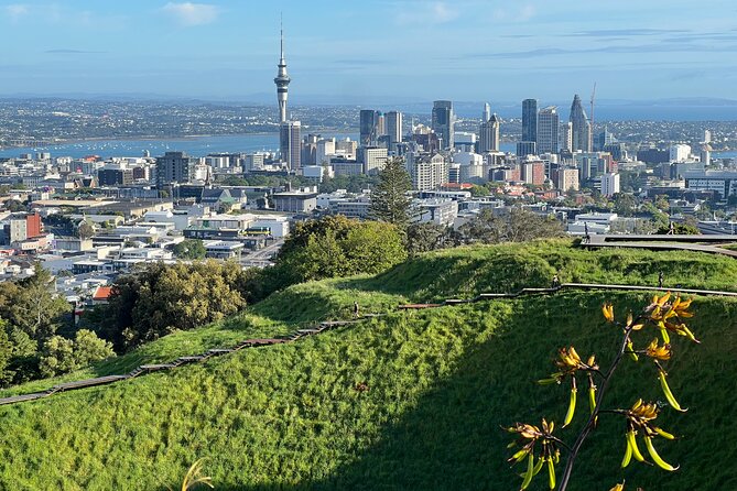 Half-Day Tour: AUCKLAND CITY Highlights with Hotel Pickup - Hotel pickup to Sky Tower: starting with the big shot