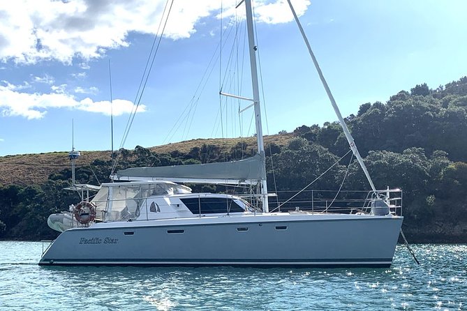 Hauraki Gulf Eco Sailing Adventure - The pest-free island walk: birds, views, and an easy nature reset