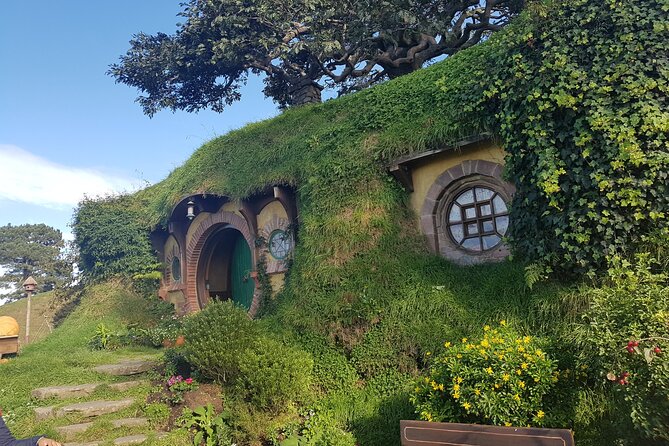 Hobbiton Afternoon Tour in Luxury Minibus from Auckland - The Mercedes Minibus Ride: Comfort, Size, and What to Expect