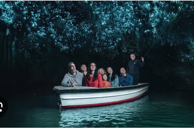 Hobbiton and Waitomo Caves Arrive in Comfort and Style - Hobbiton Movie Set tour: Shire scenes, Bag End, and that Party Tree moment