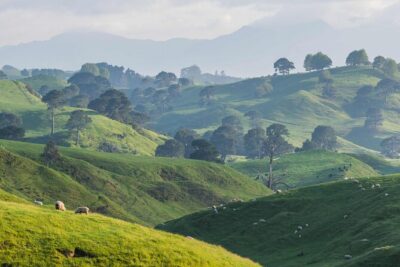Hobbiton and Waitomo Caves Small Tour from Auckland - Waitomo Glowworm Caves: what a 50-minute guided stop really means