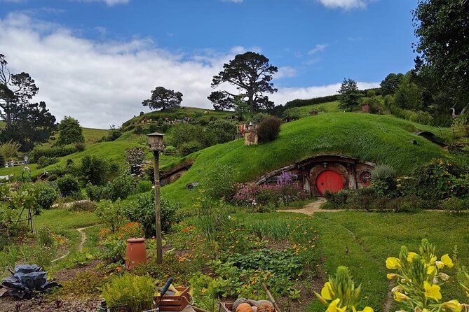 Hobbiton Movie Set Guided Day Tour with Lunch from Auckland - Price check: what $204.79 buys you (and what you should compare it to)