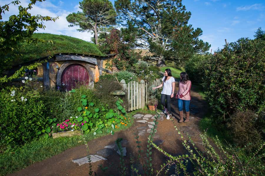 Hobbiton Movie Set & Rotorua Premium Day Tour from Auckland - Wood and stone carving school (NZMACI): where craft meets context