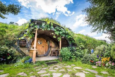 Hobbiton Movie Set & Rotorua Premium Day Tour from Auckland - The drive to Waikato: comfortable, scenic, and photo-friendly