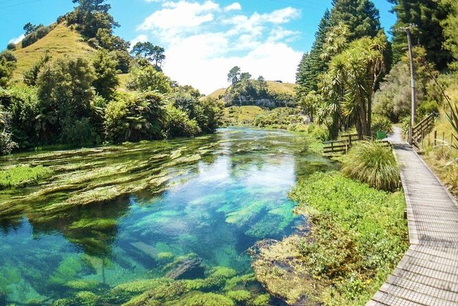 Hobbiton Movie Set Tour to Blue Springs and Mineral Spa - Auckland Driving Day: Timing, Photo Light, and Comfort in Motion