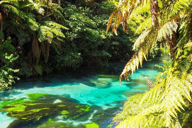 Hobbiton Movie Set Tour to Blue Springs and Mineral Spa - Price and Value: What $456.12 Covers (and What It Doesn’t)