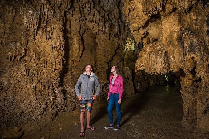 Hobbiton & Waitomo Caves Small Group Tour from Auckland inc Lunch - The return to Auckland: not just driving, but guided “in between” moments