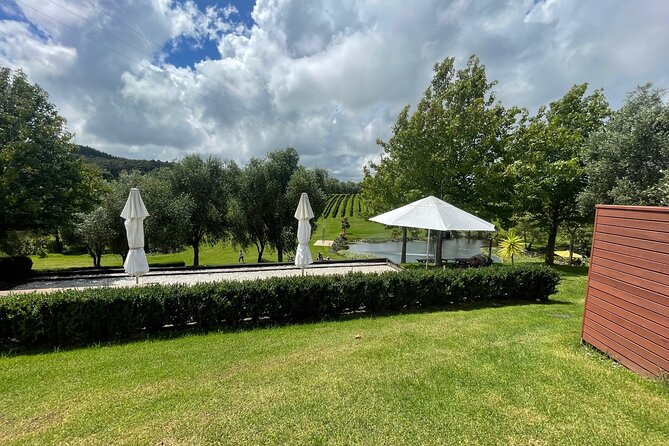 Kumeu Wine Tour - Pickup, Group Size, and the Relaxed Pace You Want