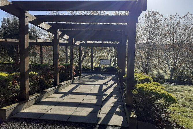 Kumeu Winery Boutique Tour with Gourmet Lunch from Auckland - A 4-hour Kumeu hit: wine tastings plus Muriwai black-sand views