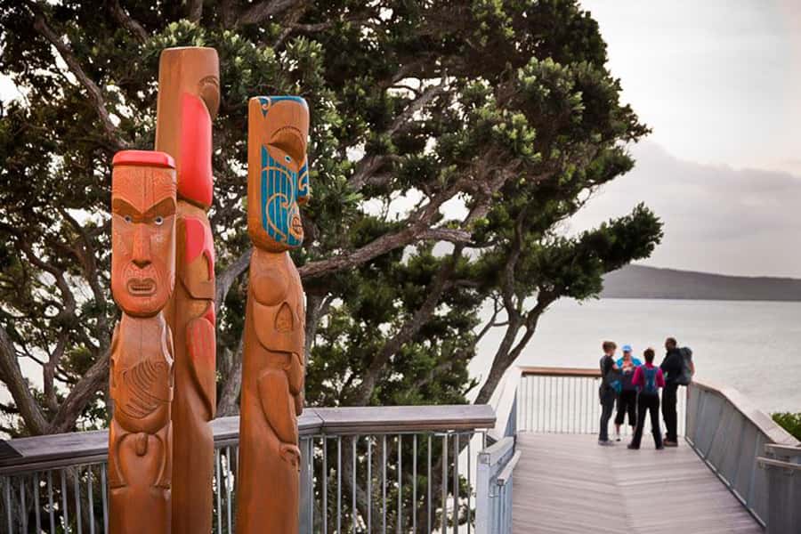 Luxury Auckland Maori Tour - Key moments that make this tour different