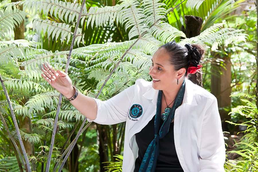 Luxury Auckland Maori Tour - Harbour Bridge and Rangitoto: volcano views that feel close