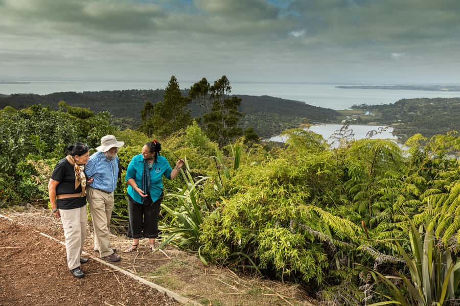 Luxury Auckland Maori Tour - Arataki Visitor Centre: the moment the day turns from city to West Coast