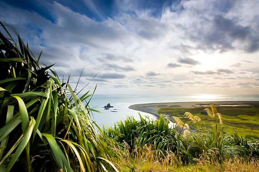 Luxury Auckland Maori Tour - Cliff tops and black sand beach: big ocean energy, plan for the conditions
