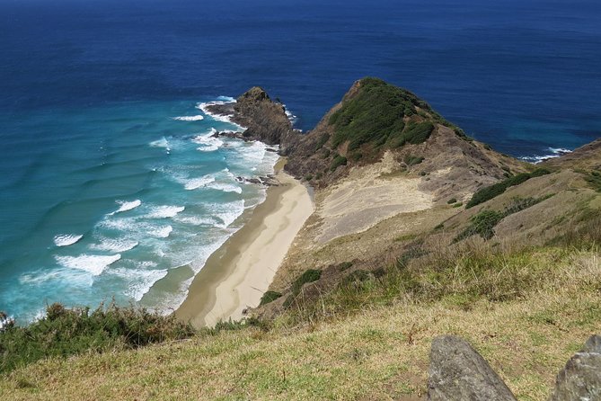 Luxury Private Transfers: Auckland Airport to City - Price, timing, and the 44-days-in-advance habit