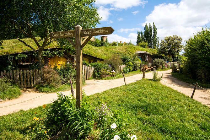 Luxury Small group tour from Auckland to Hobbiton Movie Set - Key highlights worth knowing