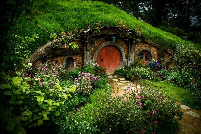 Luxury Small group tour from Auckland to Hobbiton Movie Set - Practical notes: weather, walking comfort, and real-life logistics