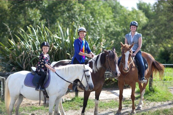 Matakana Art & Horse Riding Experience Private Tour From Auckland - Key Highlights Worth Your Time