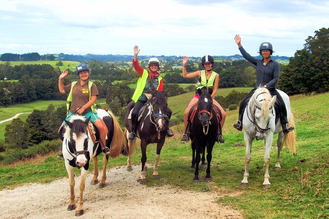 Matakana Art & Horse Riding Experience Private Tour From Auckland - Matakana in One Private, 9-Hour Package