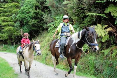 Matakana Art & Horse Riding Experience Private Tour From Auckland - Auckland Pickup to Matakana Road Trip: Comfort and Timing