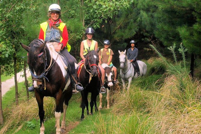 Matakana Art & Horse Riding Experience Private Tour From Auckland - Lunch, Wine Tasting, and Included Food Stops