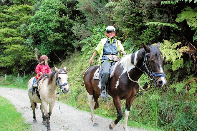 Matakana Art & Horse Riding Experience Private Tour From Auckland - Auckland Pickup to Matakana Road Trip: Comfort and Timing
