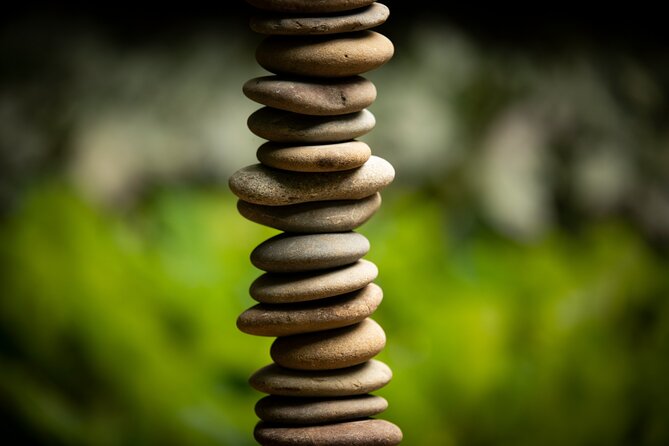 Matakana Art & Vineyard Experience incl. Lunch & Wine Tasting Tour From Auckland - Chocolate Brown: the vintage-sweet start you can pace