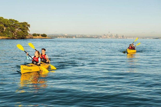 Motukorea / Browns Island Sea Kayak Journey - Key points before you go