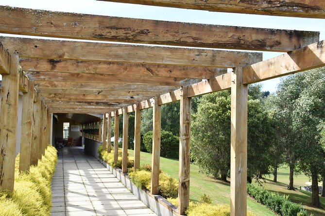 Muriwai Scenic Wine Tour from Auckland - Who this tour fits best (and who should skip it)