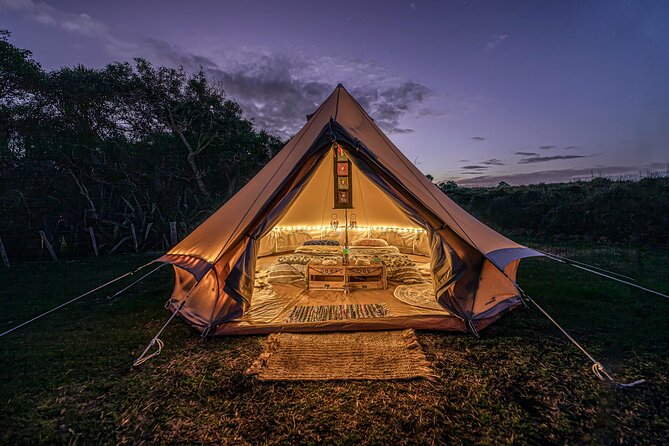 Nocturnal Wonders Tawharanui Kiwi Spotting and Stargazing Tour - Twilight Kiwi Trails and Stargars: What to Expect in 3 Hours
