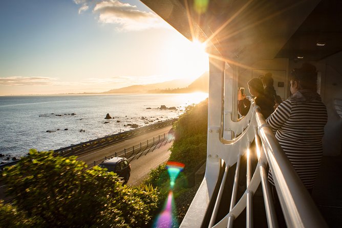 Northern Explorer Train Journey from Auckland to Wellington - Seats, direction, and comfort tips for an 11-hour ride