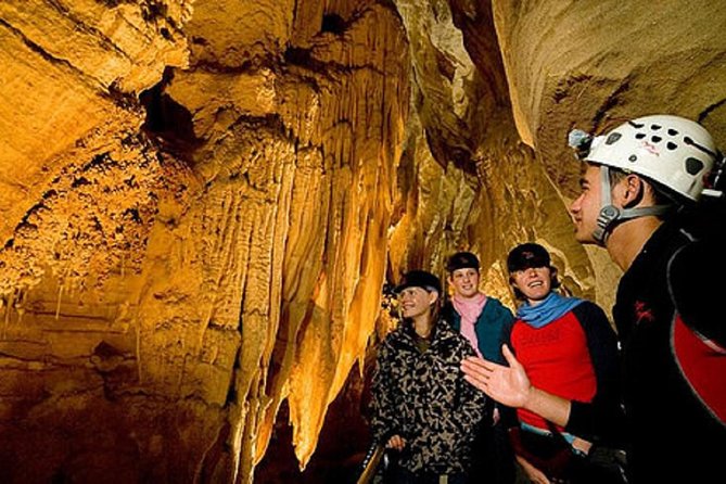 Odyssey Sensory Maze Entry Auckland Ticket - Family fit for ages 8+ (and how to handle overstimulation)