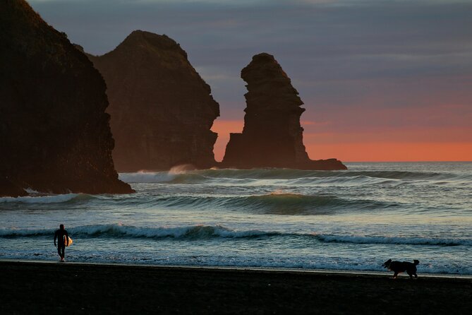 Piha Beach & Wilderness Nature : PRIVATE TOUR 8 hrs - Private format, and a guide who can read the day