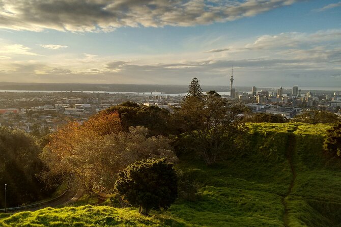 Piha Beach & Wilderness Nature : PRIVATE TOUR 8 hrs - Why Piha and Mount Eden work so well together